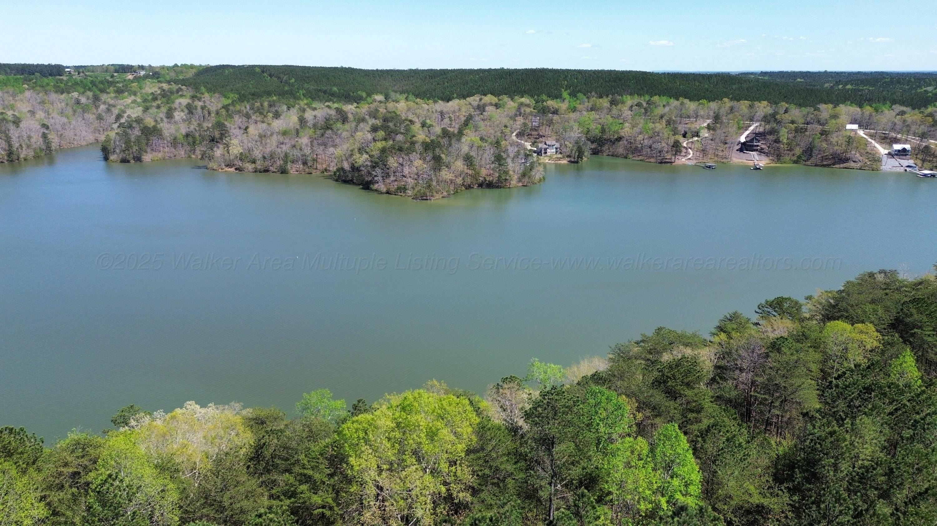 Arley AL Waterfront Acreage
