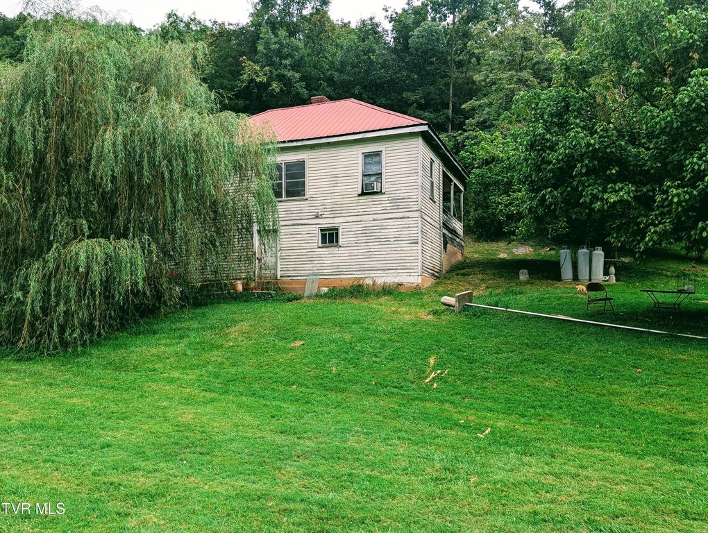 Picture 8