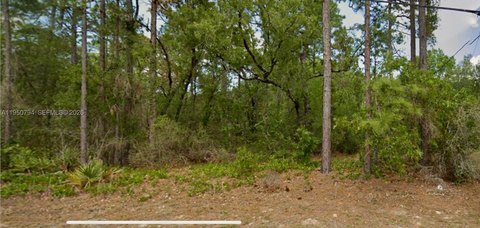 Citrus Springs Residential Lot