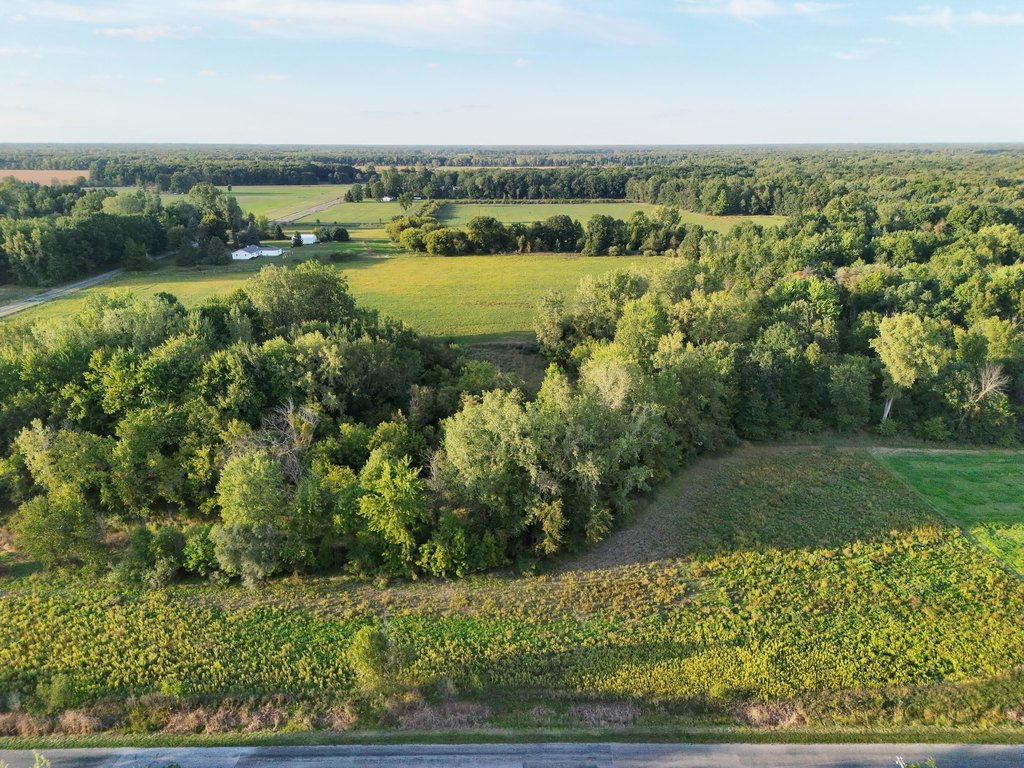 Picture 2