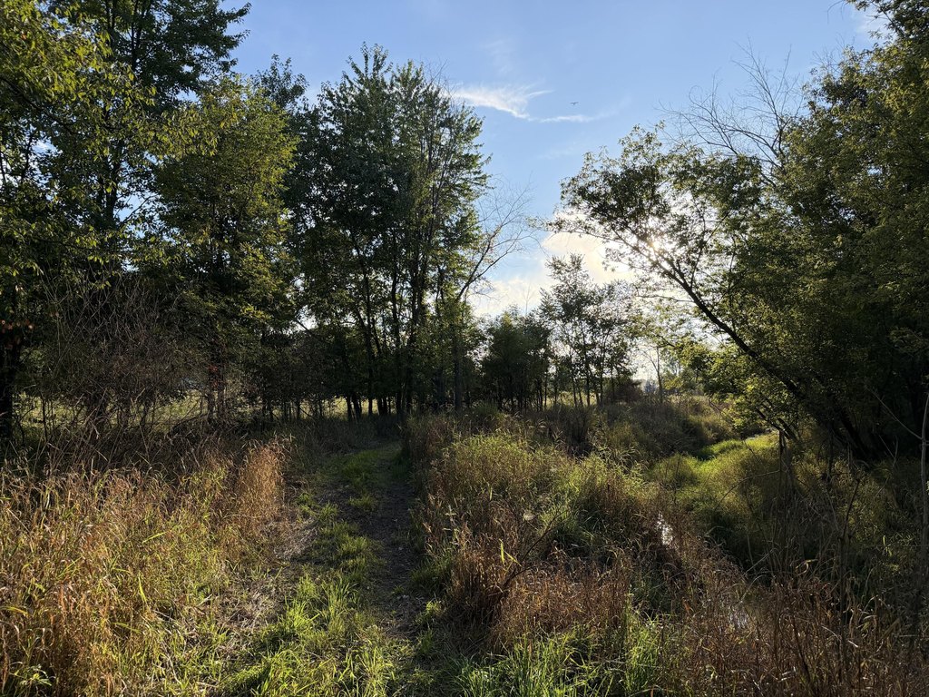 Picture 22