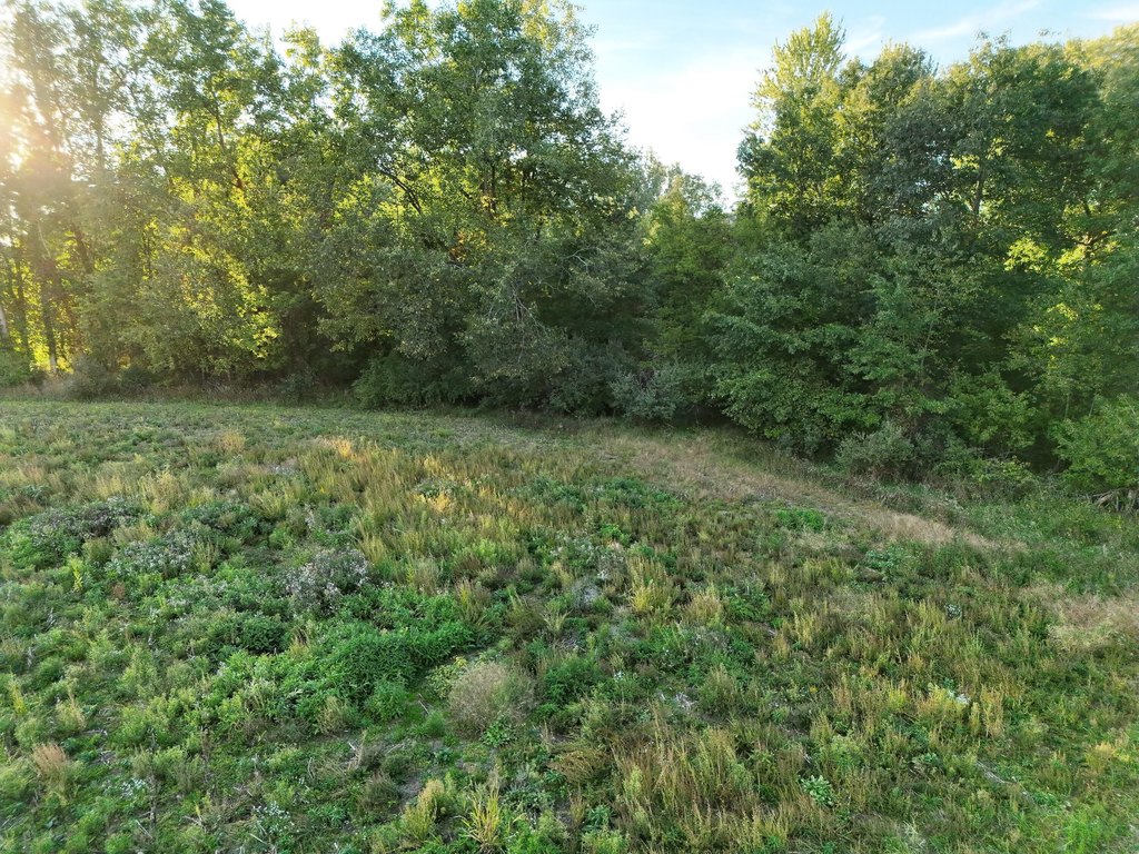 Picture 19