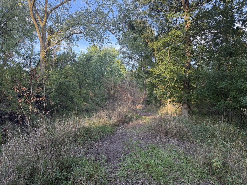 Picture 17