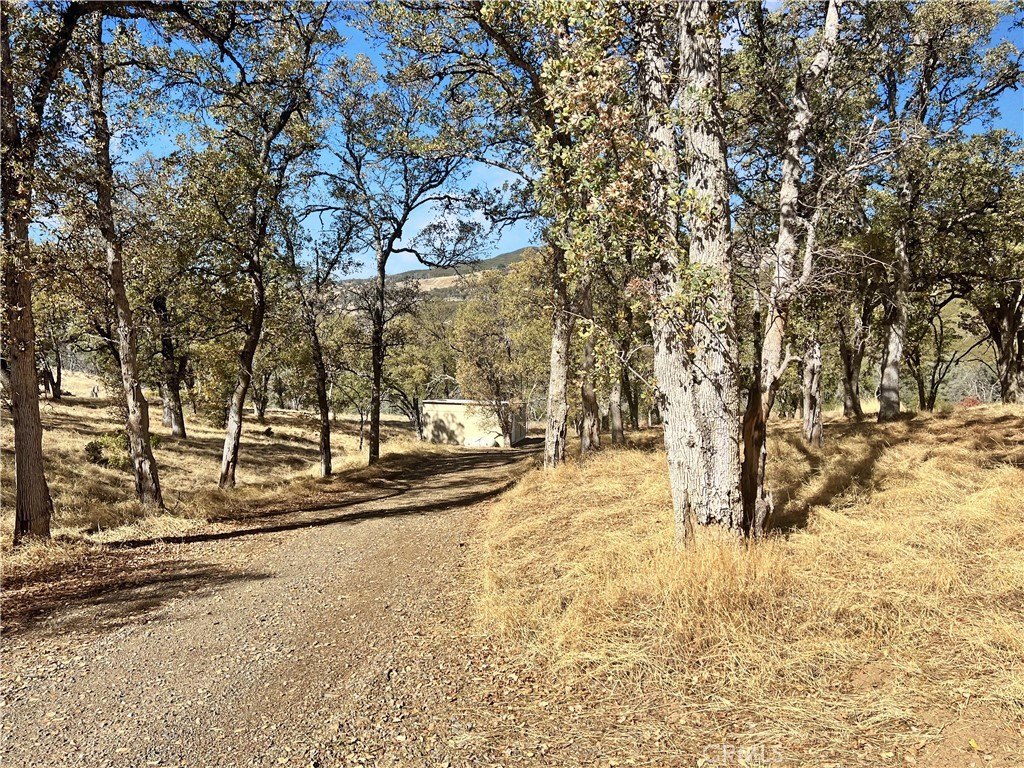 Picture 15