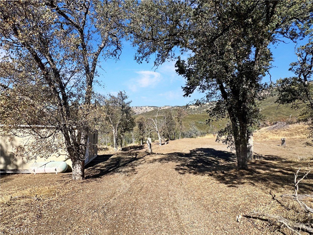 Picture 17