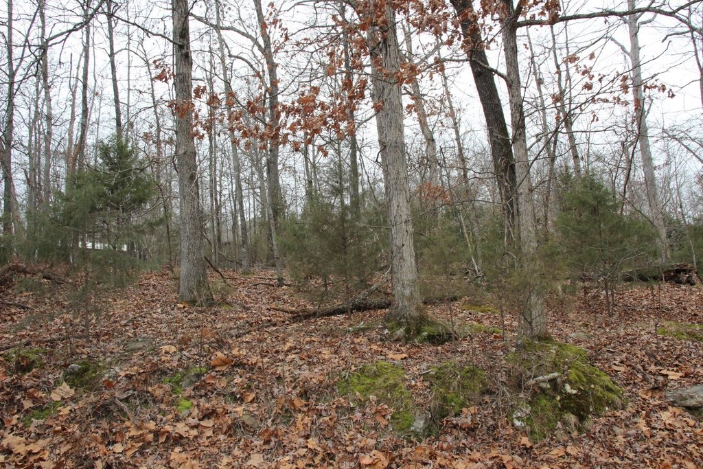 Picture 3