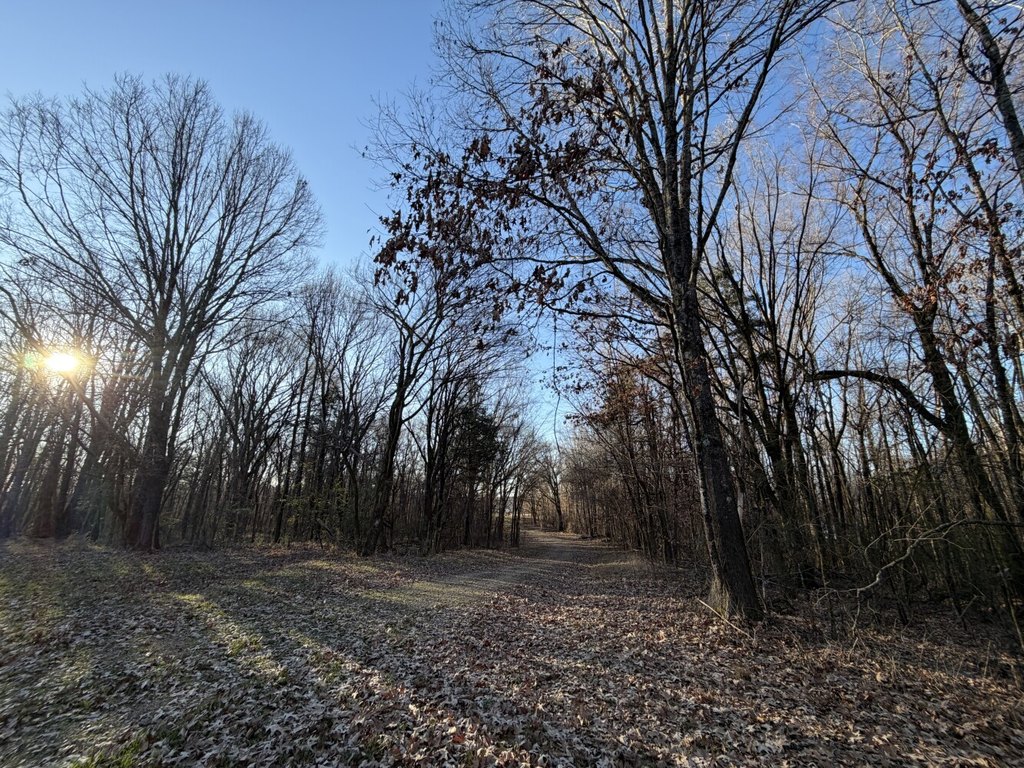Picture 36