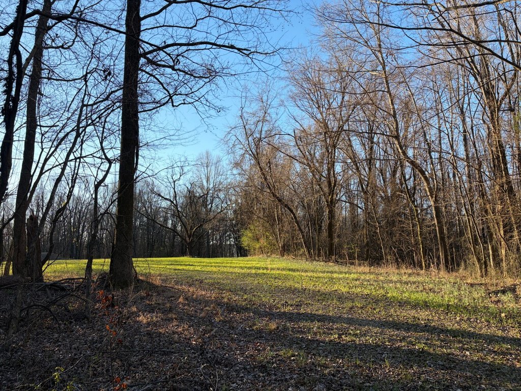 Picture 46