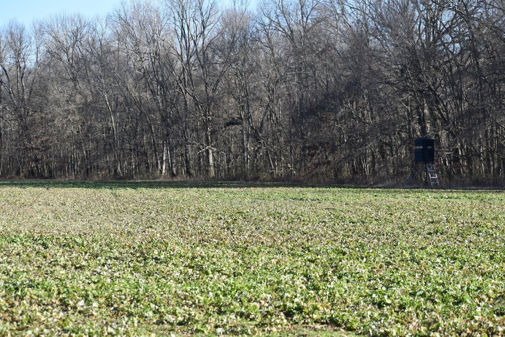 Picture 42