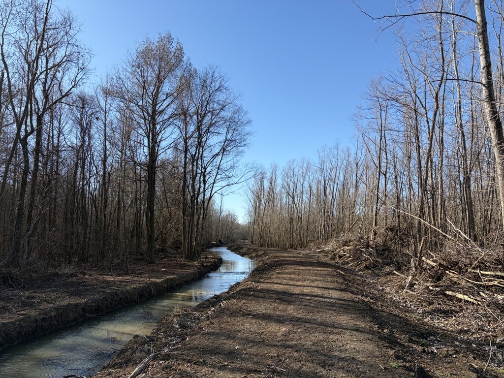 Picture 28