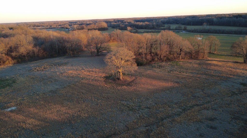 Picture 13