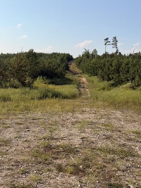 Picture 35