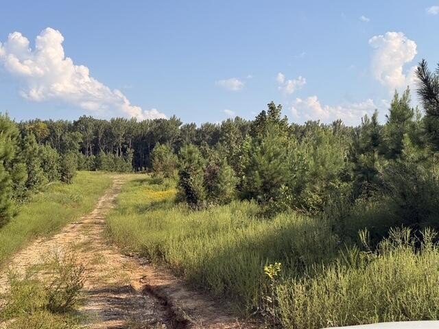 Picture 23