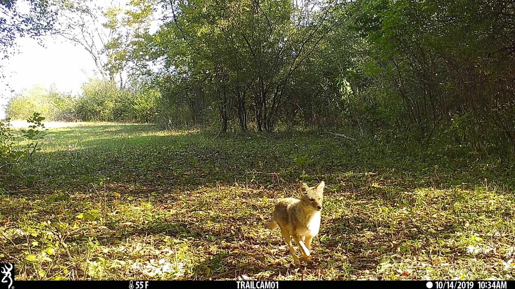 Picture 2