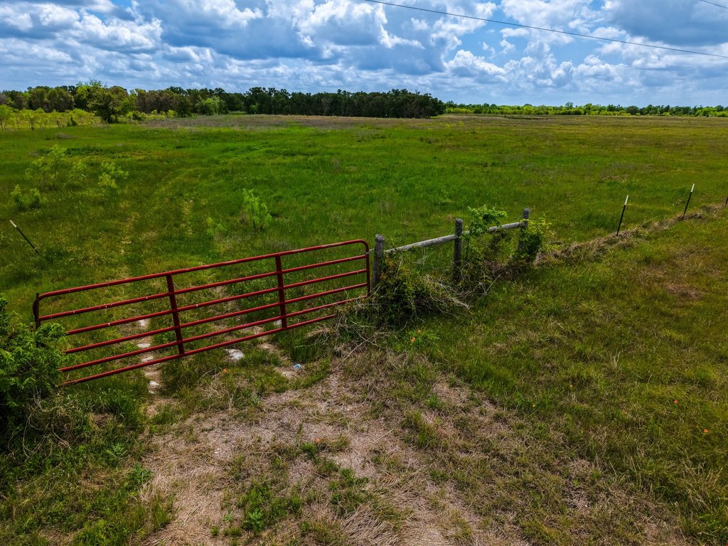 Picture 20