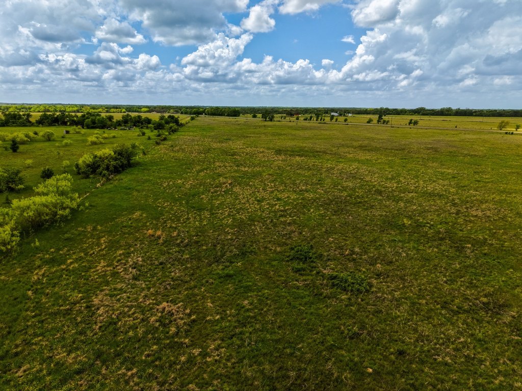 Picture 25