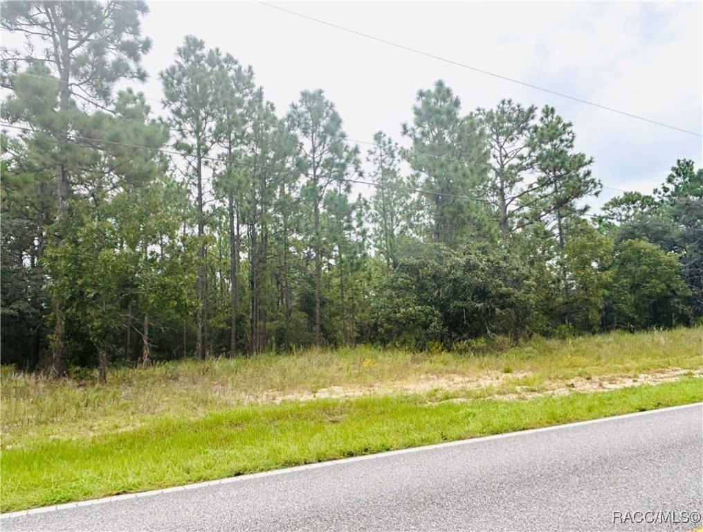 Citrus Springs Acreage Home Site