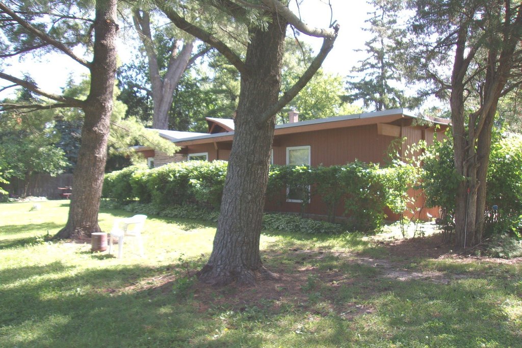 Picture 5