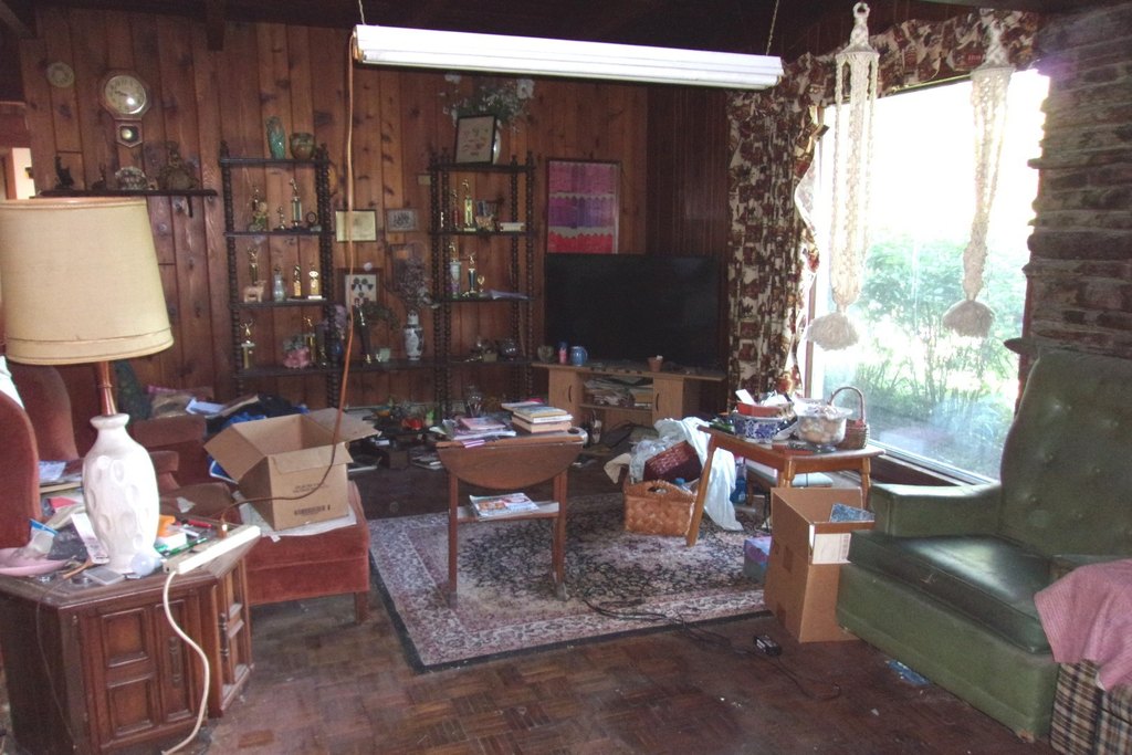 Picture 8