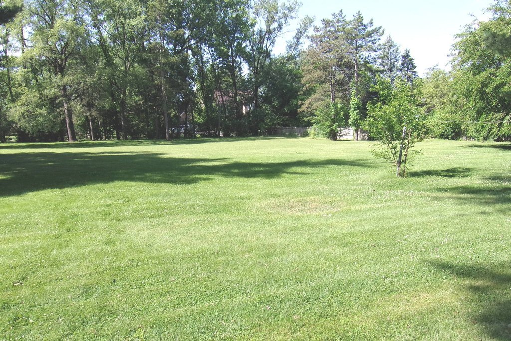 Picture 15
