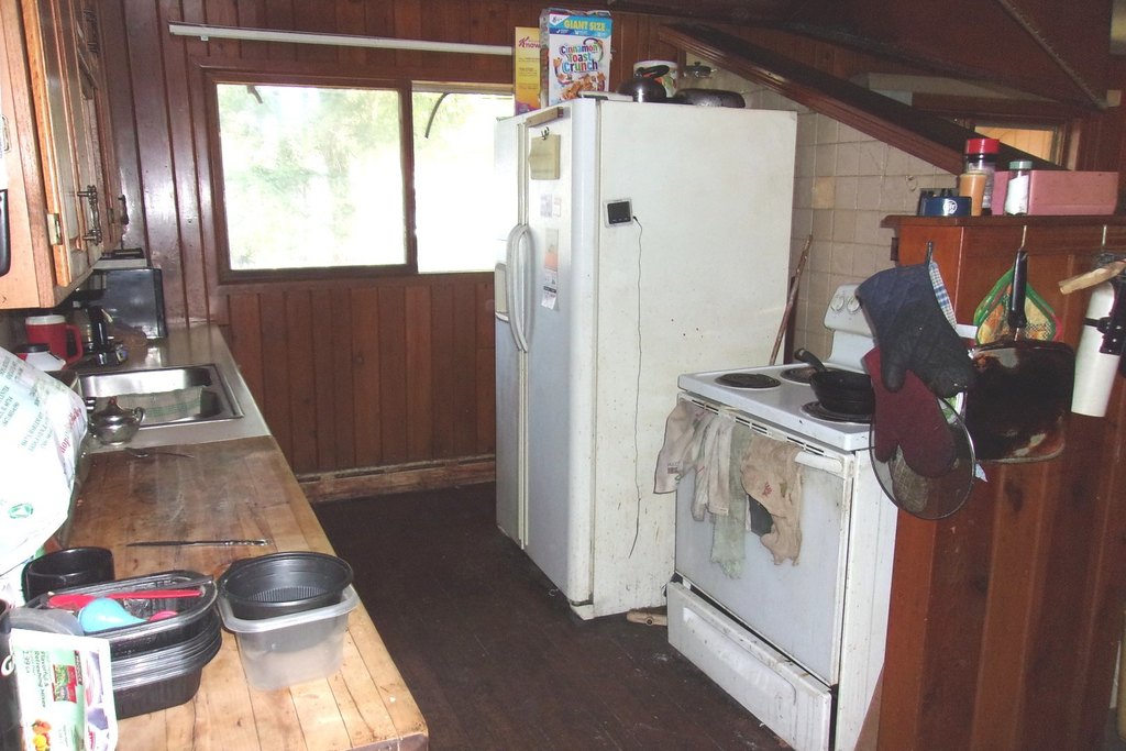 Picture 11