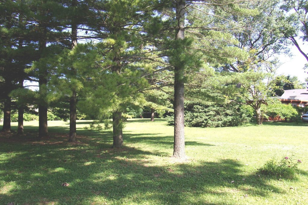 Picture 16