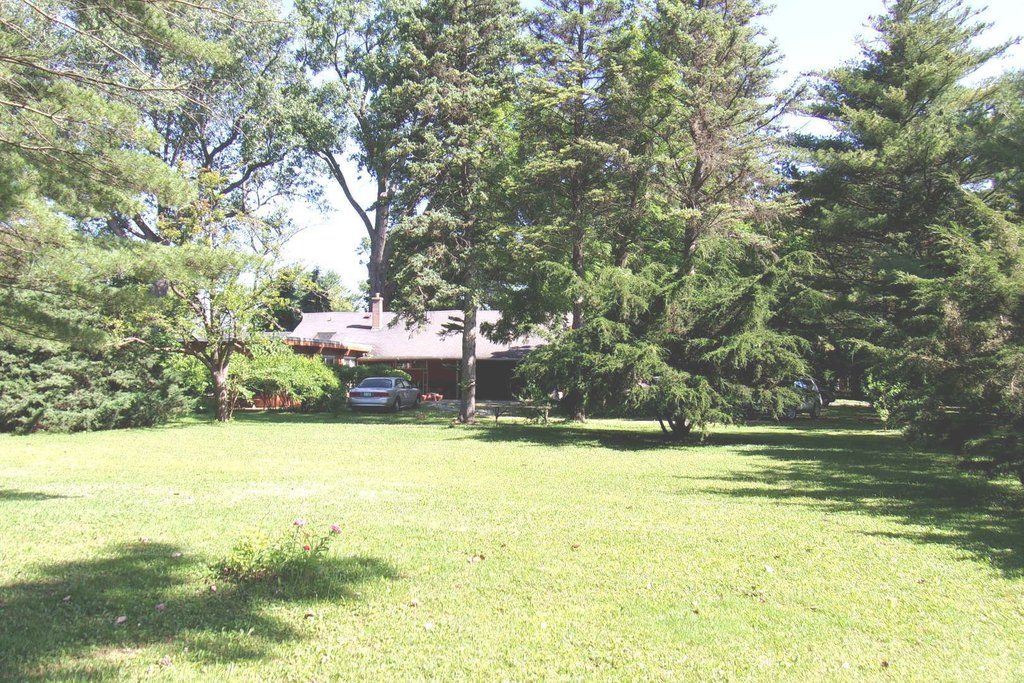 Picture 17