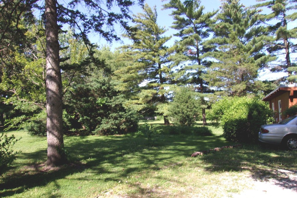 Picture 13