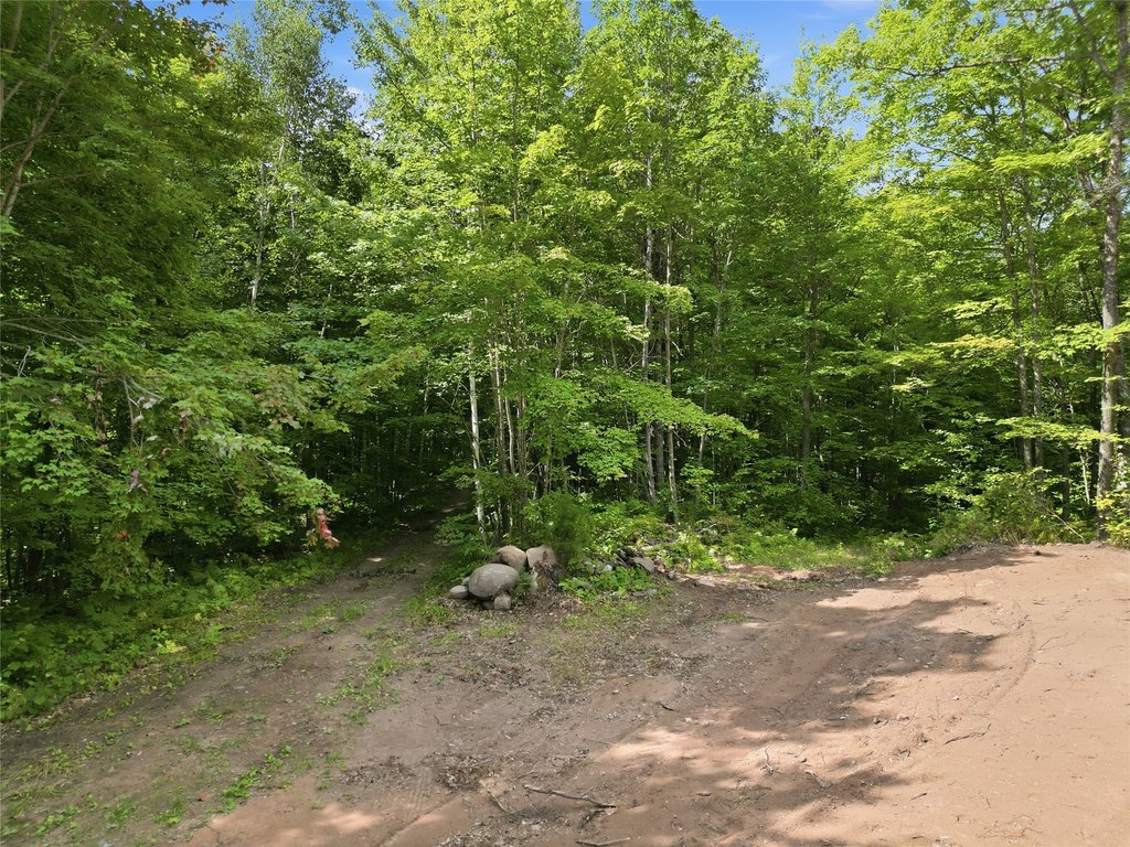 Picture 15