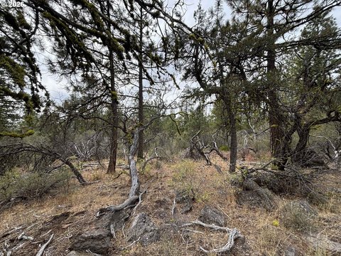 Acreage in Southern Oregon, Bonanza