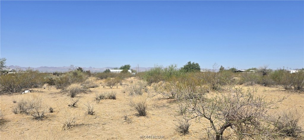 Picture 3