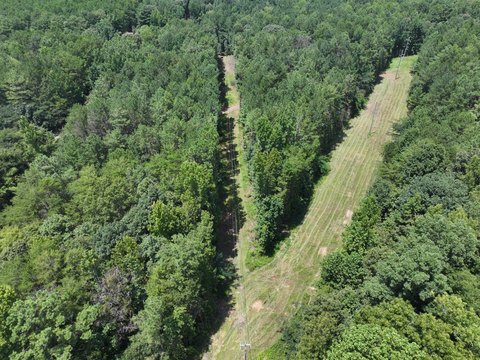 Recreational Timber Land Homesite