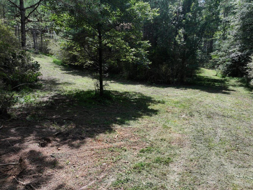 Picture 4