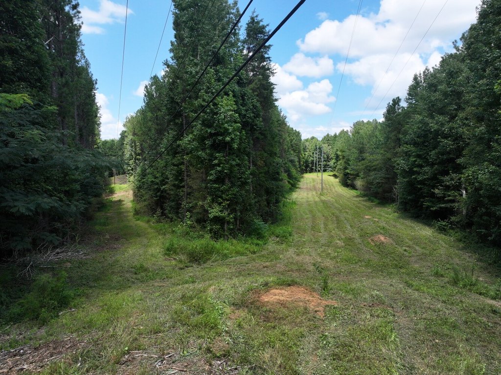 Picture 7