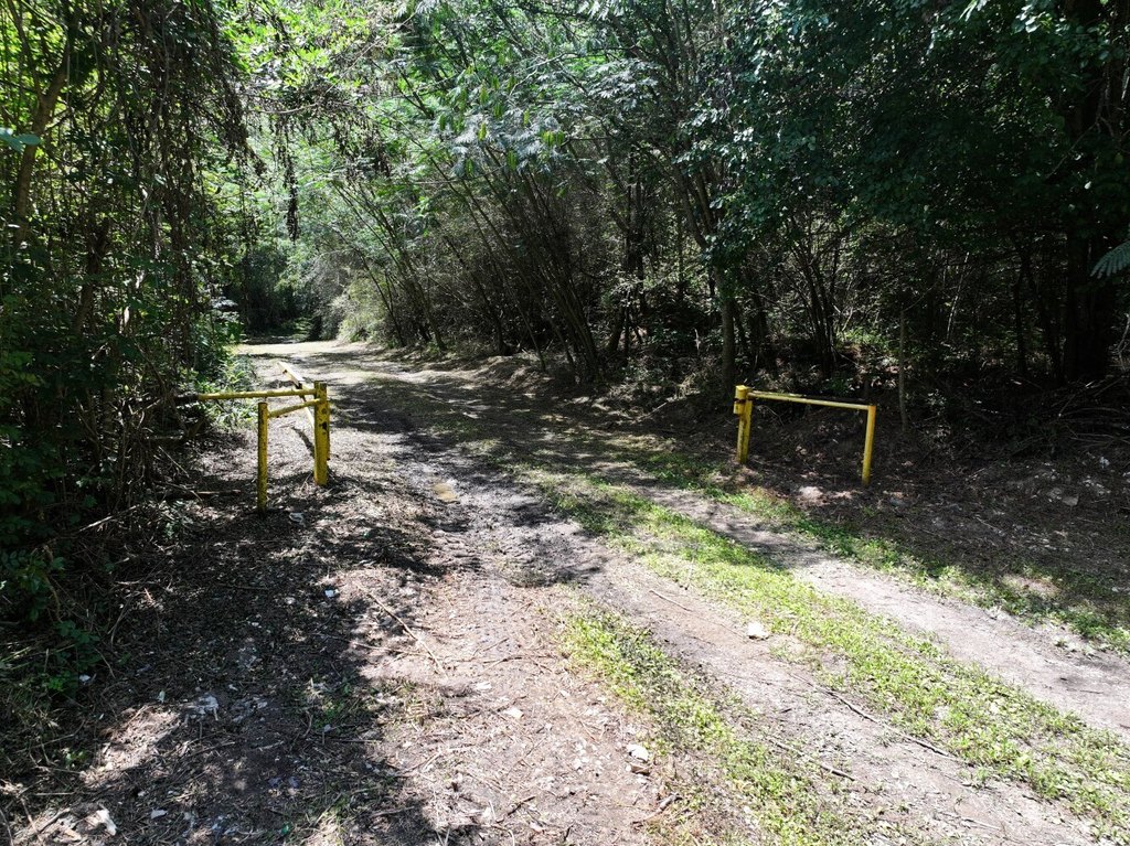 Picture 5