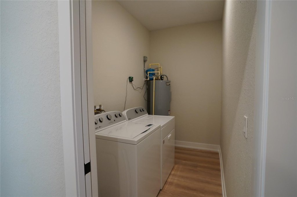 Picture 24