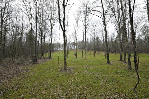 Mena, AR Wooded Acreage