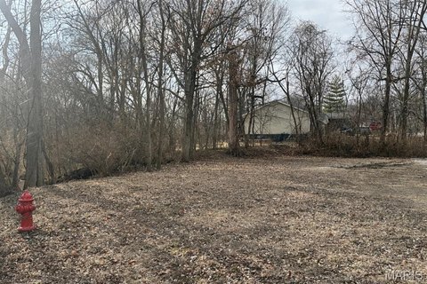 Residential Lot in Triad District