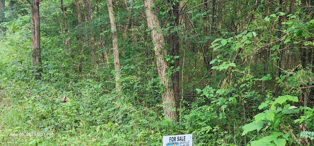 Picture 5