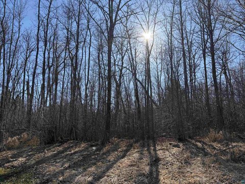 Residential Lot in Moose Lake