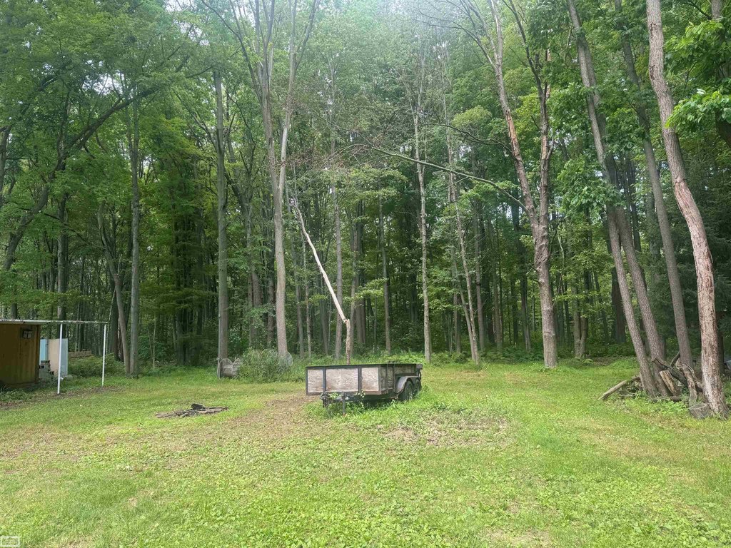 Picture 5