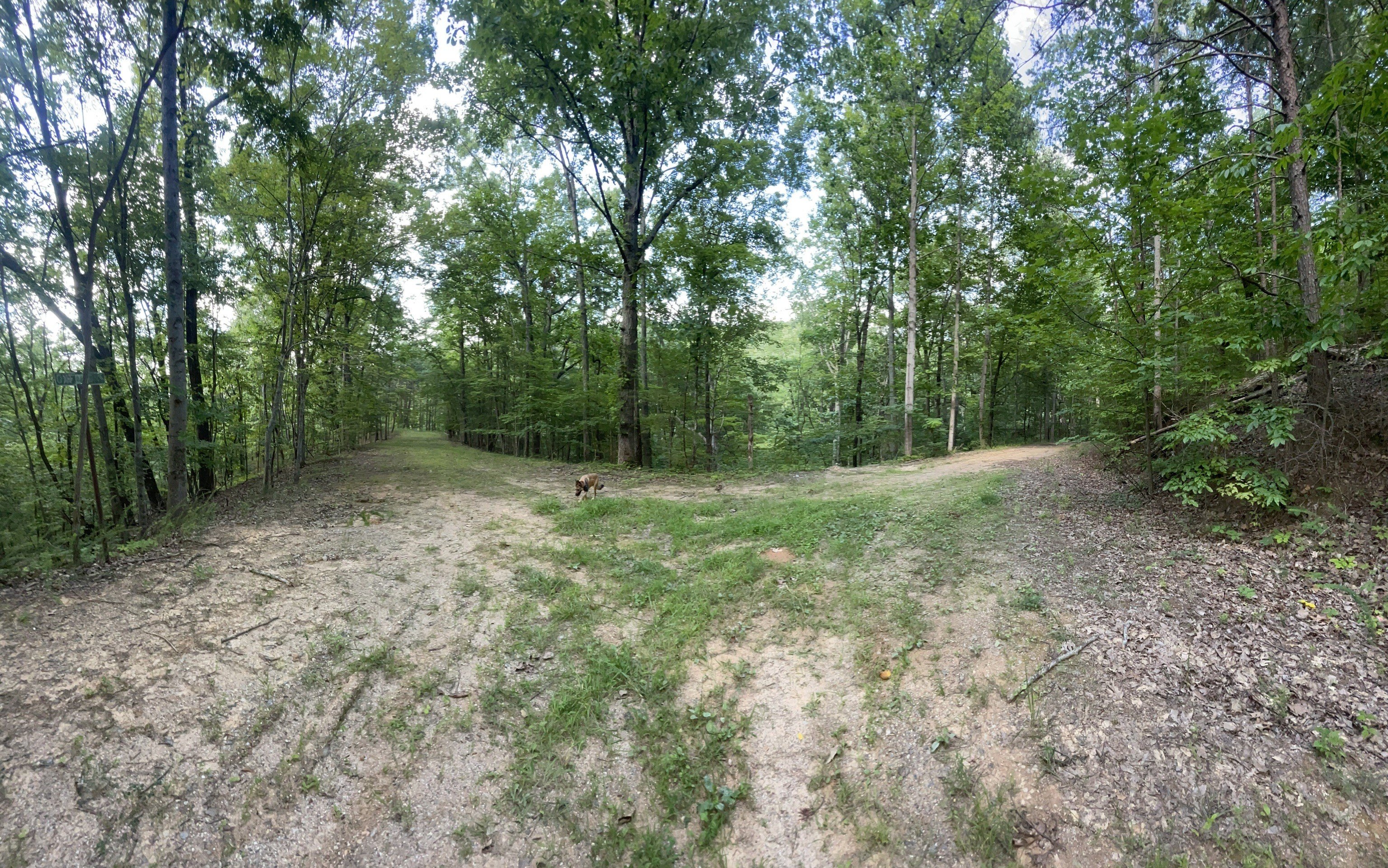Ranger, GA Secluded Land