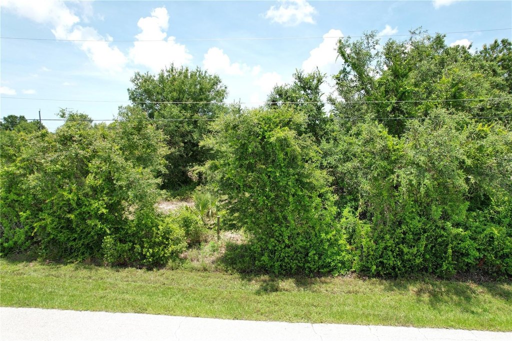 Picture 5