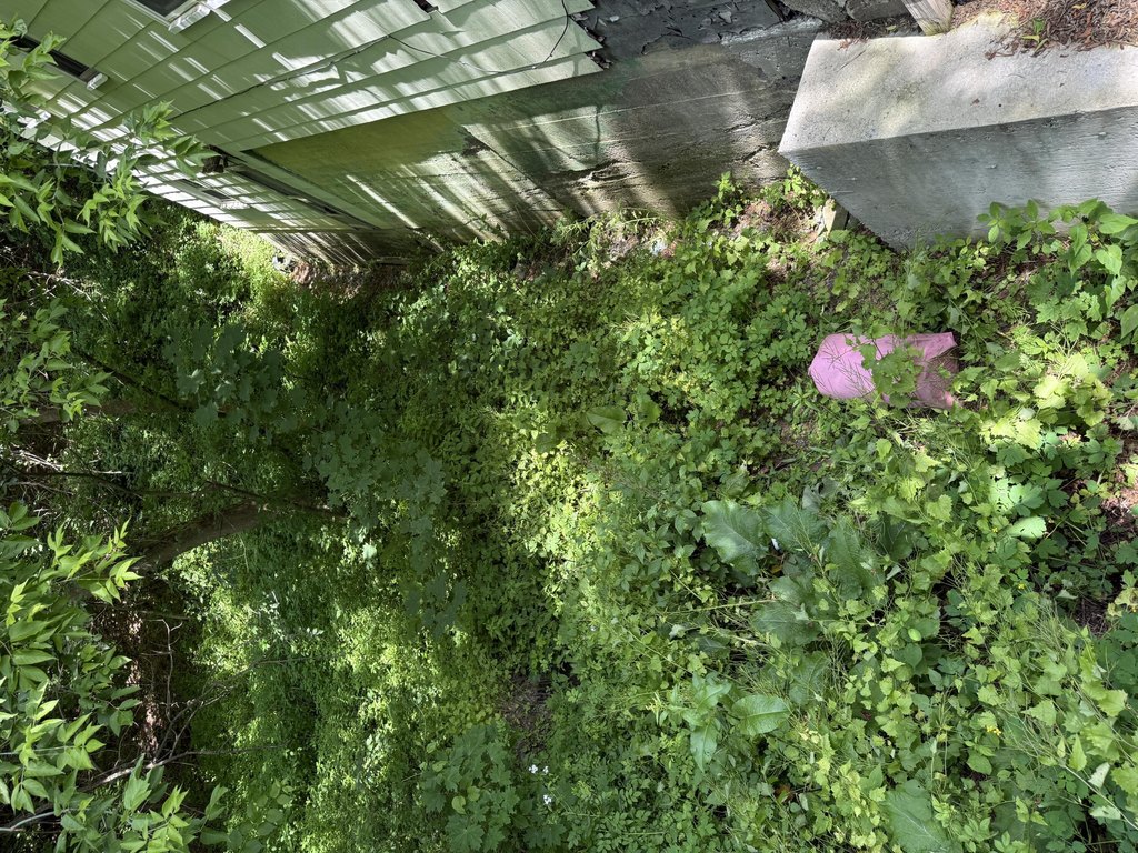 Picture 45