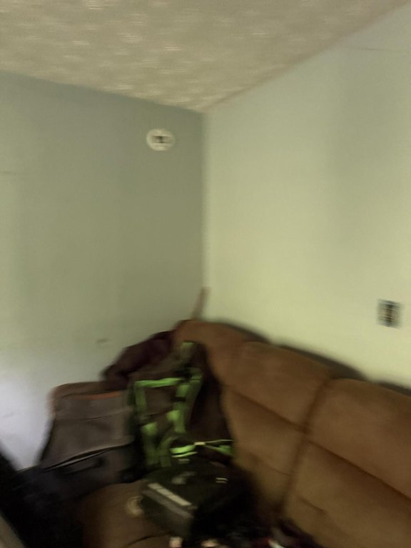 Picture 63