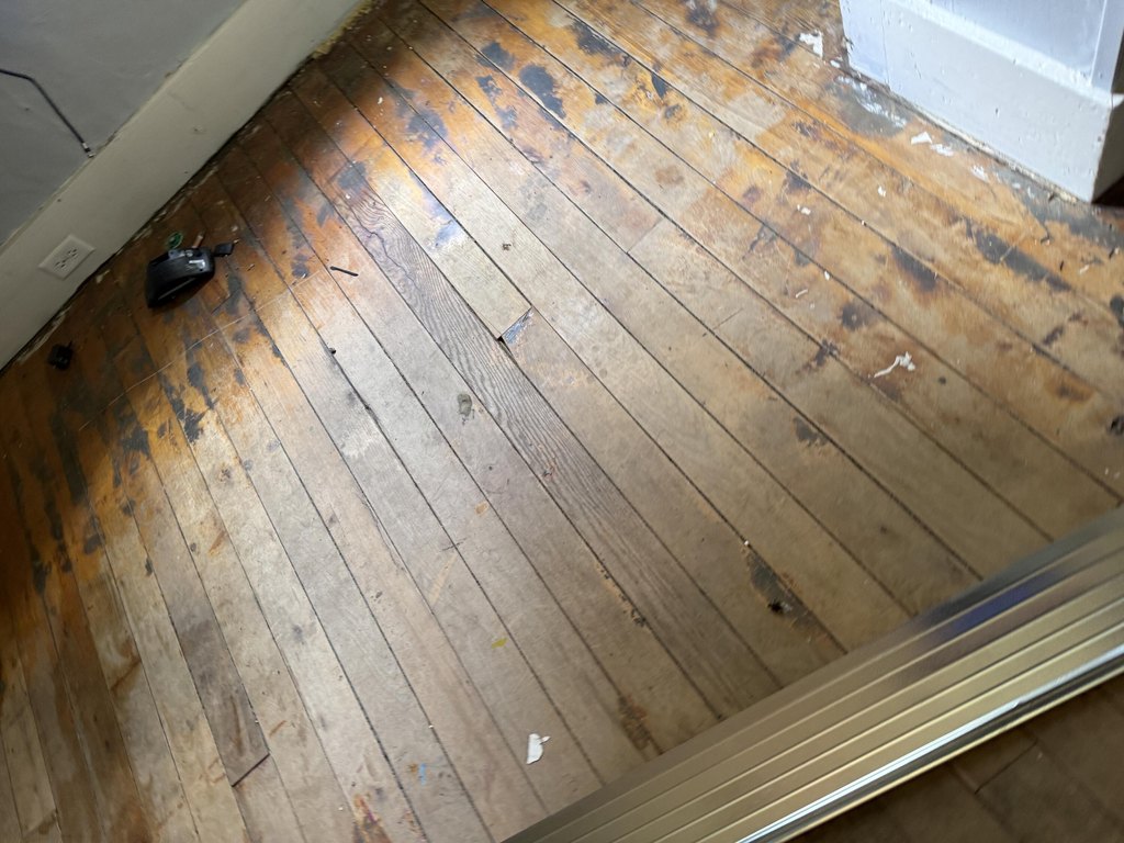 Picture 10