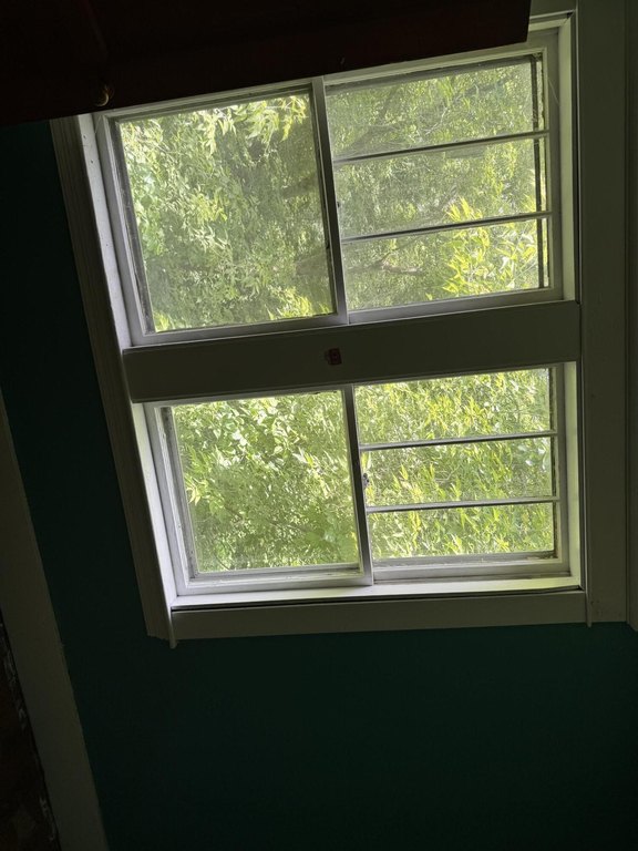 Picture 32