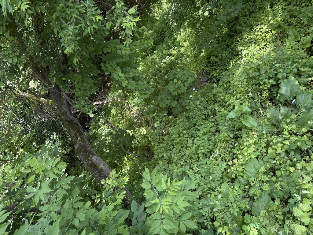 Picture 46