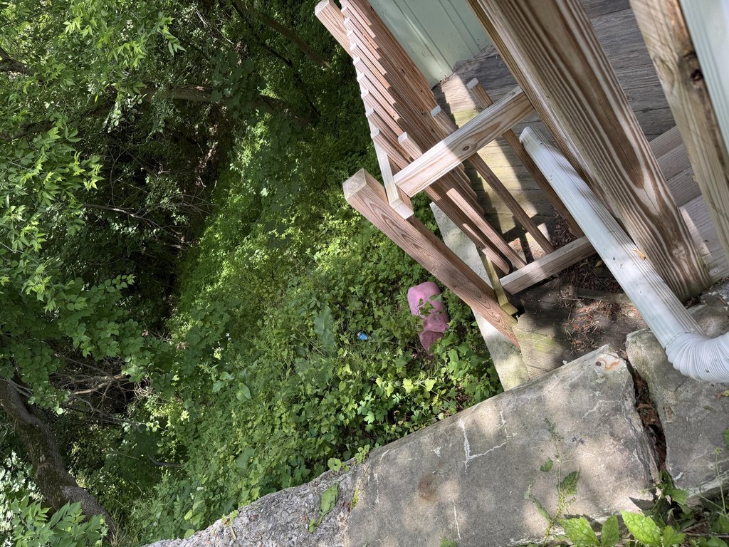Picture 41