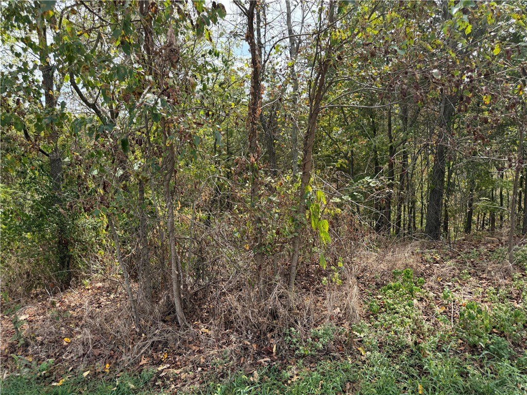 Picture 21